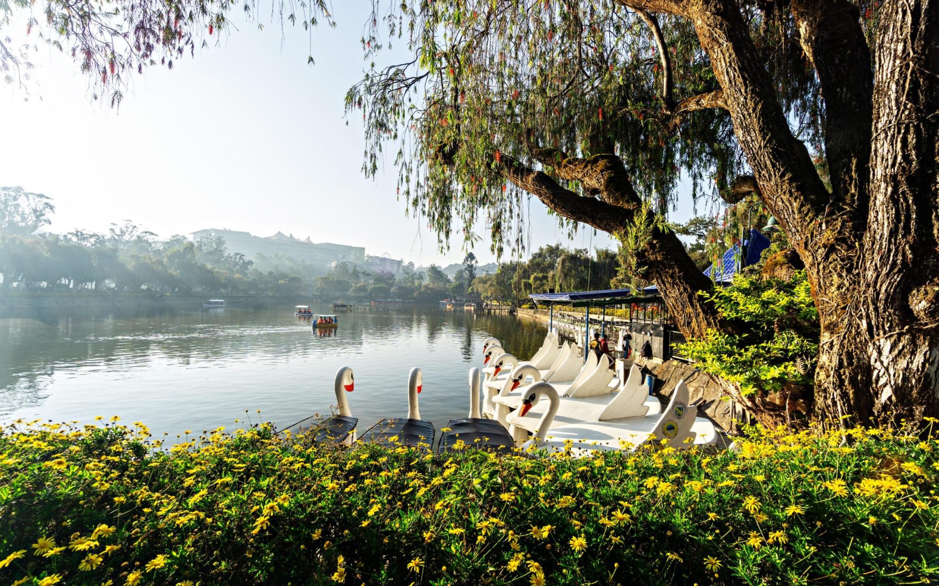 20240413-BAGUIO-A6000B-0002 copy (1)