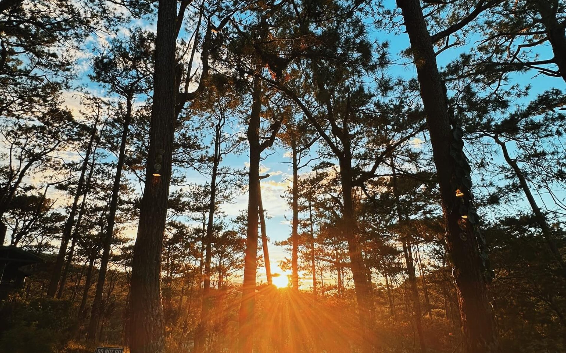 BAGUIO’S NEW GLOW (1)