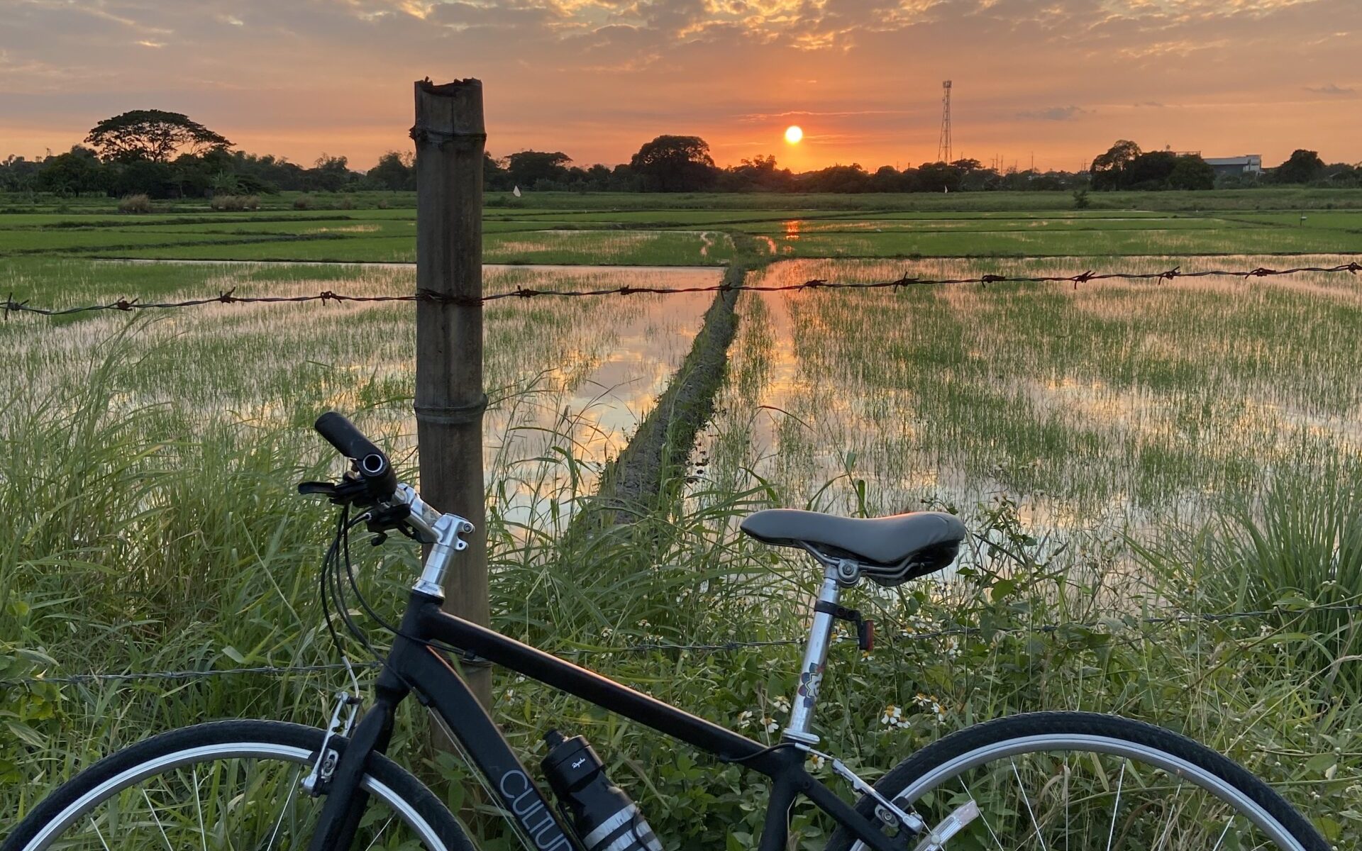 Found Love in a Homeless Phase - Road Bike Sunset