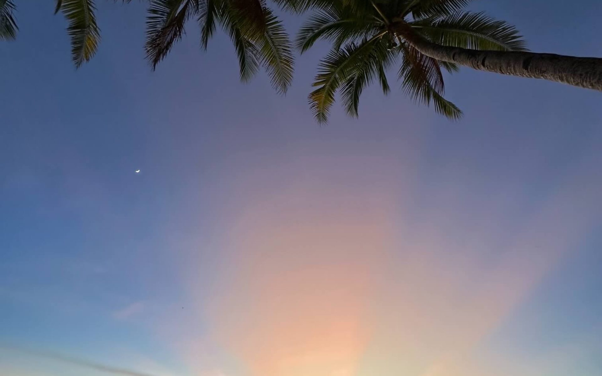 OF SAND, SUNSETS, AND SIX-INCH HEELS (2)