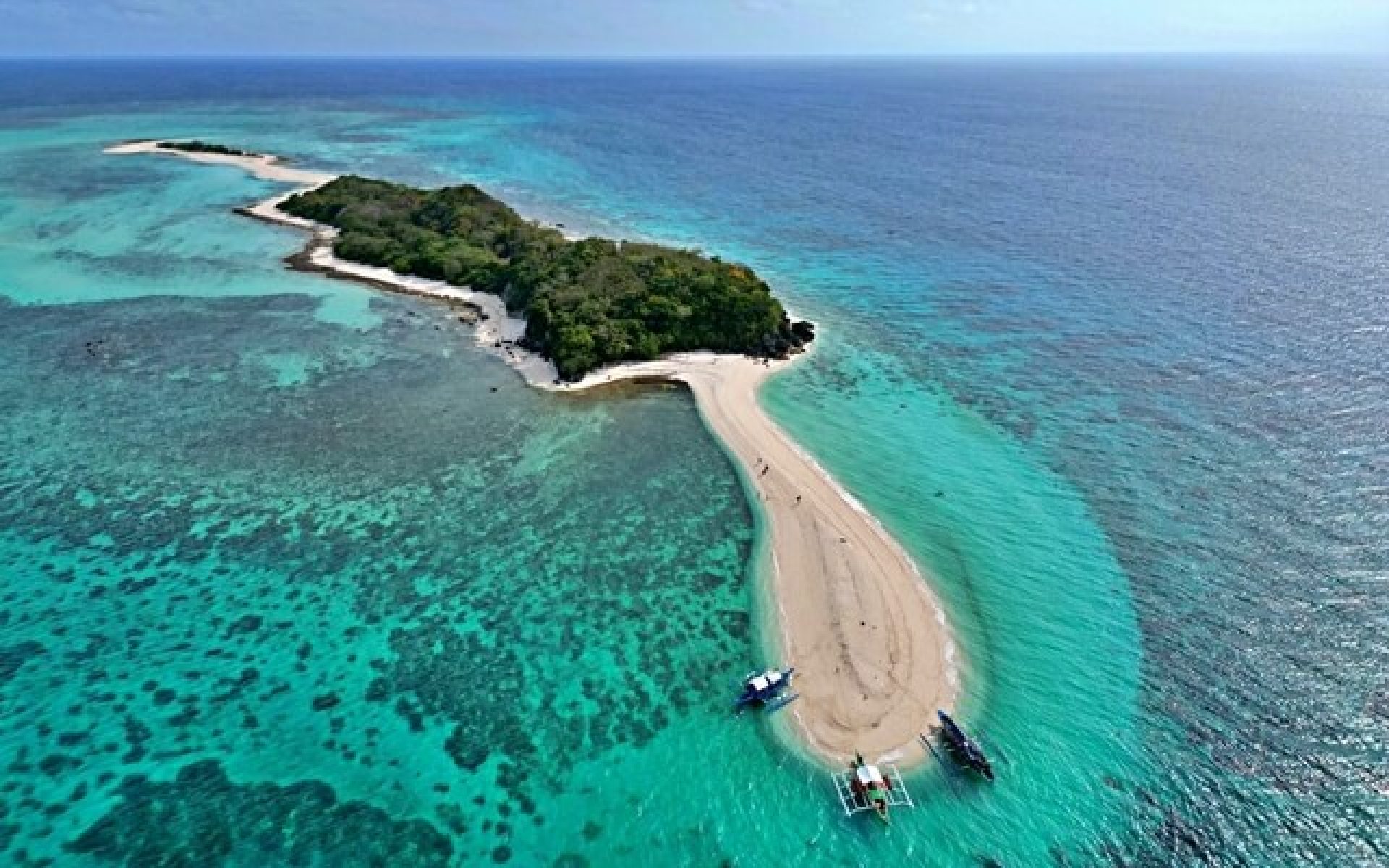 Romblon - Cresta de Gallo Romblon