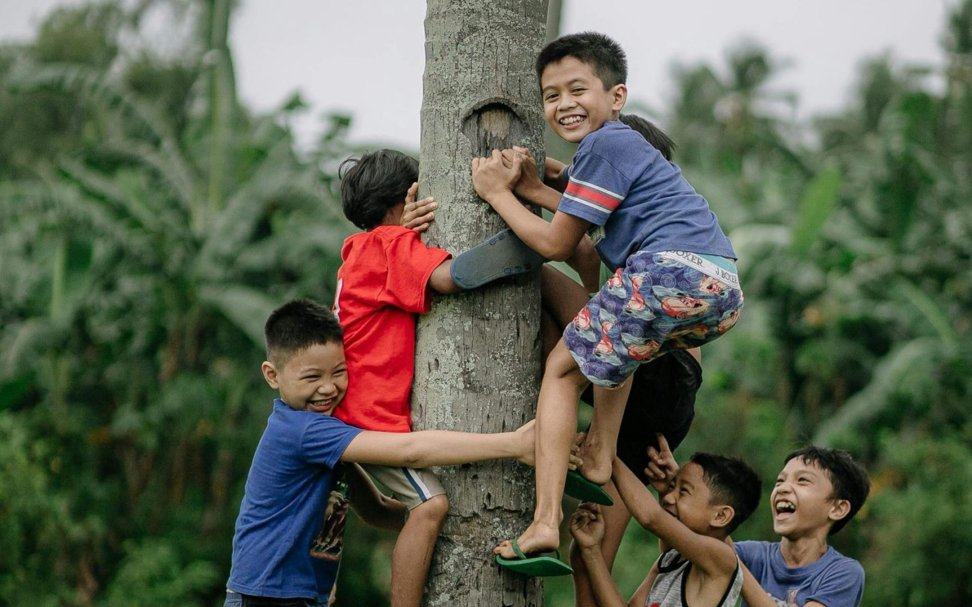 pexels-denniz-futalan-339724-7100693