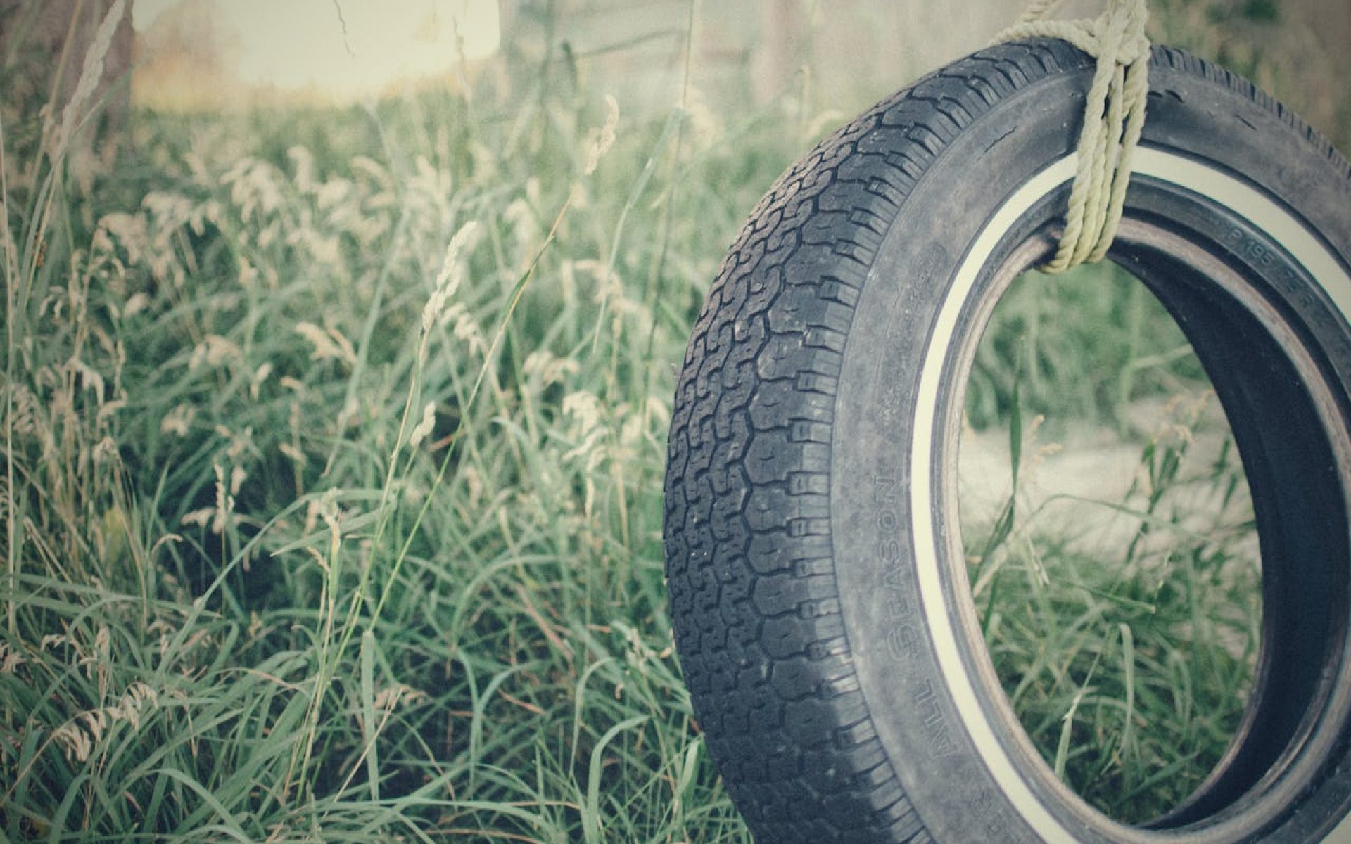 pexels-scottwebb-70300